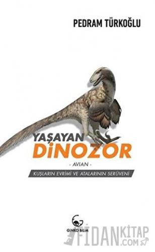 Yaşayan Dinozor - Avian