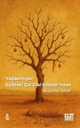 Yaşlanmıyor, Eşikteki Çul Gibi Eskiyor İnsan