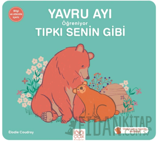 Yavru Ayı Öğreniyor Tıpkı Senin Gibi Elodie Coudray