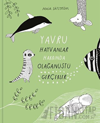 Yavru Hayvanlar Hakkında Olağanüstü Gerçekler