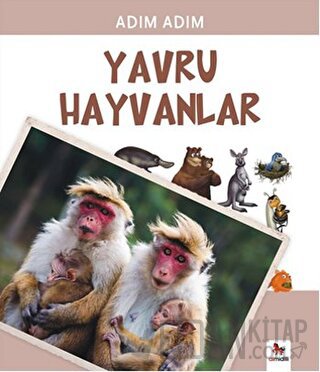 Yavru Hayvanlar