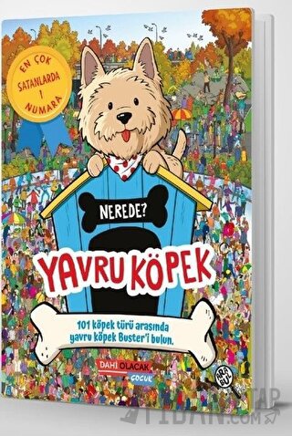 Yavru Köpek Nerede?