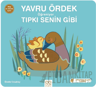 Yavru Ördek Öğreniyor Tıpkı Senin Gibi Elodie Coudray
