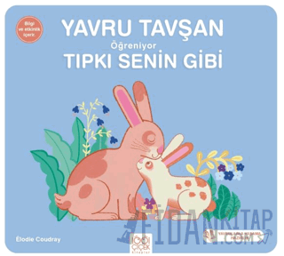 Yavru Tavşan Öğreniyor Tıpkı Senin Gibi