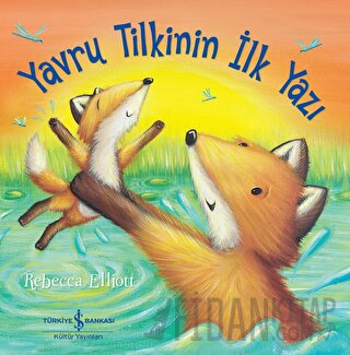 Yavru Tilkinin İlk Yazı