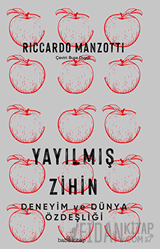 Yayılmış Zihin - Deneyim ve Dünya Özdeşliği