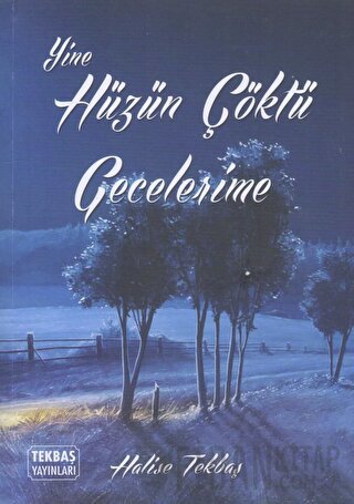 Yine Hüzün Çöktü Gecelerime