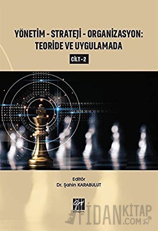 Yönetim-Strateji-Organizasyon: Teoride ve Uygulamada Cilt 2