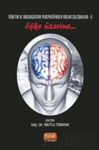 Yönetim ve Organizasyon Perspektifinden Kolluk Çalışmaları II - Öfke Üzerine..