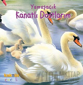 Yumuşacık Kanatlı Dostlarım Kolektif