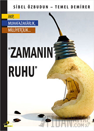 Zamanın Ruhu