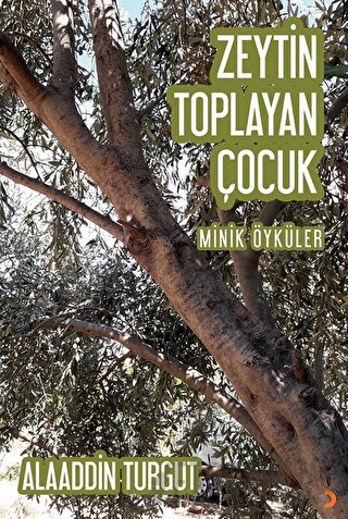 Zeytin Toplayan Çocuk