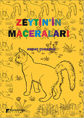 Zeytinin Maceraları
